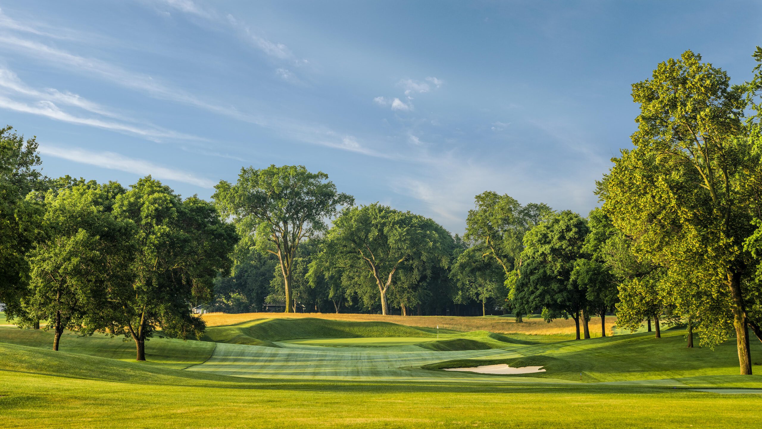 Minneapolis Golf Club
Minneapolis, MN