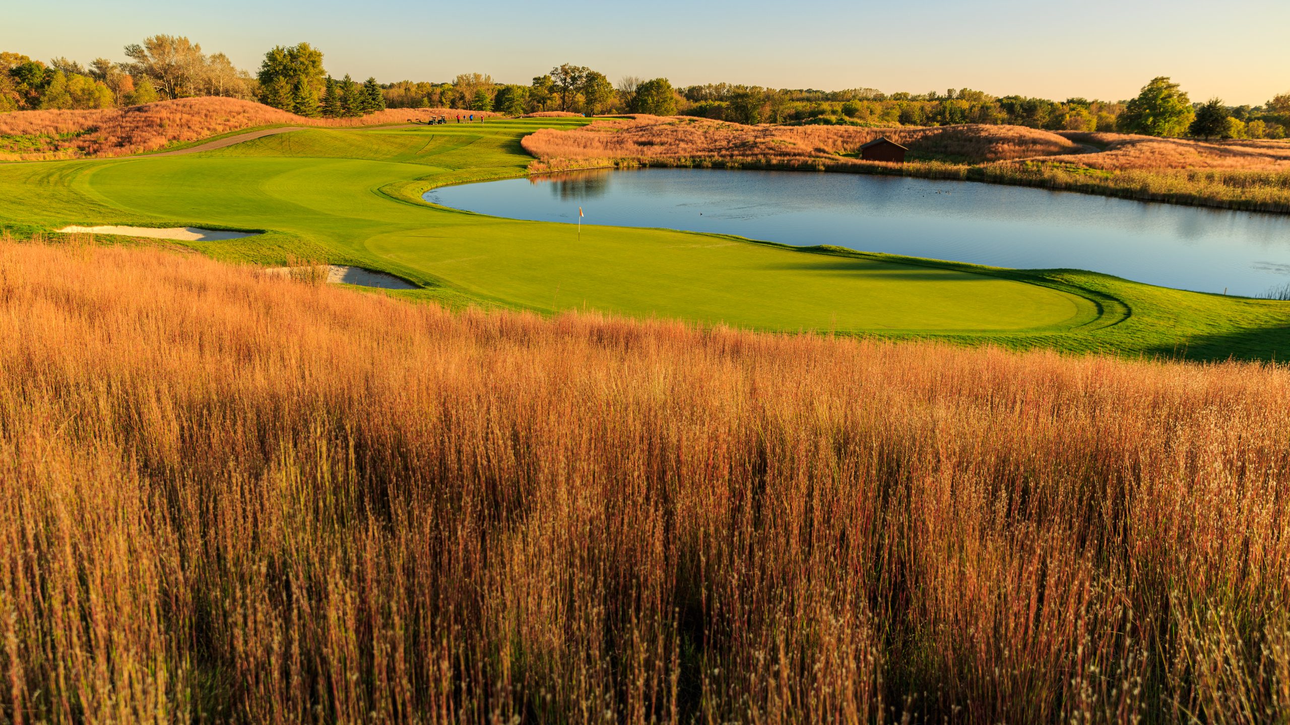 Scenic golf course green by a lakeside water hazard at sunset amid golden prairie grass