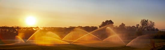 Golf course irrigation sprinklers at sunrise watering a green fairway landscape